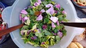 Wildblütensalat